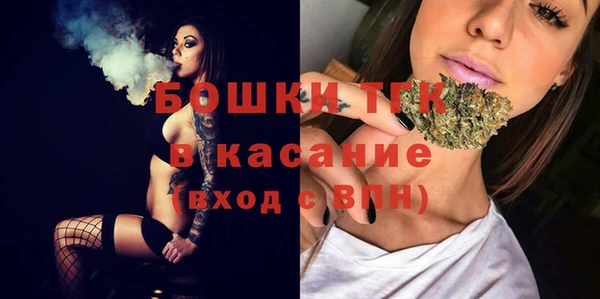 гидра Семилуки