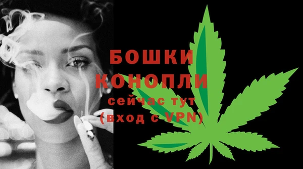 стаф Дрезна