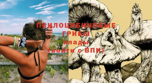 COCAINE Верея