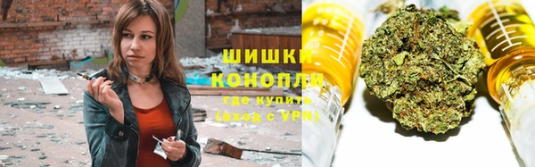 гидра Семилуки